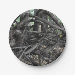 Assiettes En Carton L'amour d'un arbre tombé