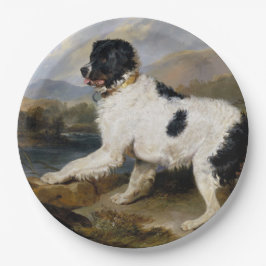 Assiettes En Carton Landseer Newfoundland Dog (animal noir et blanc)