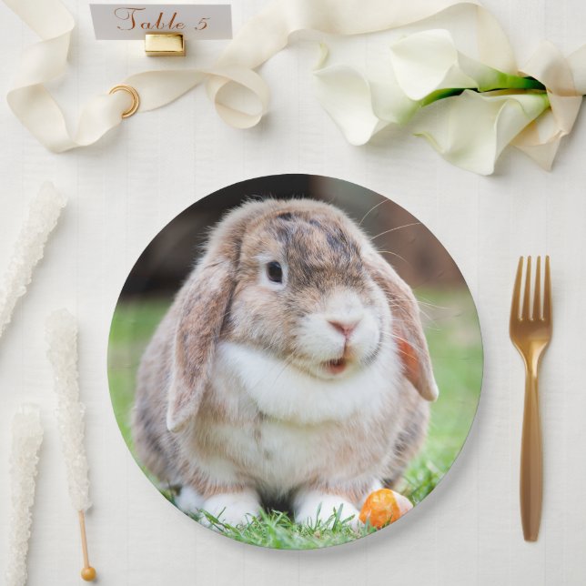 Assiettes En Carton lapin à oreilles de lop mignon (Mariage)