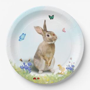 Assiettes En Carton Lapin de Pâques Poussins Coccinelles Papillons Cro