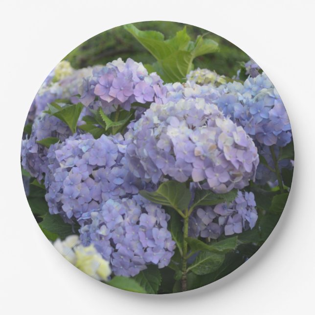 Assiettes En Carton Lavande & Lilac Hortensia Hydrangea Fleurs (Devant)