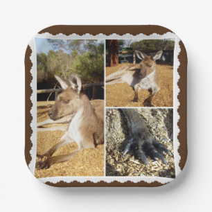 Assiettes En Carton Le Collage D'Image Kangaroo, Plaques De Papier
