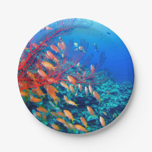 Assiettes En Carton Le récif corallien sous-marin de poissons tropicau