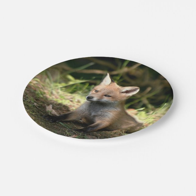 Assiettes En Carton Le Renard rouge de Little Cub (Angle)