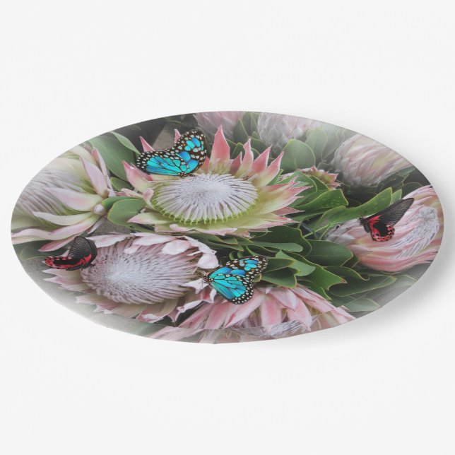 Assiettes En Carton Le roi Protea (Angle)