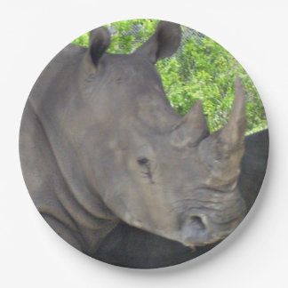 Assiettes En Carton Le visage de Rhino