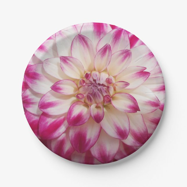 Assiettes En Carton Les Beaux (Devant)