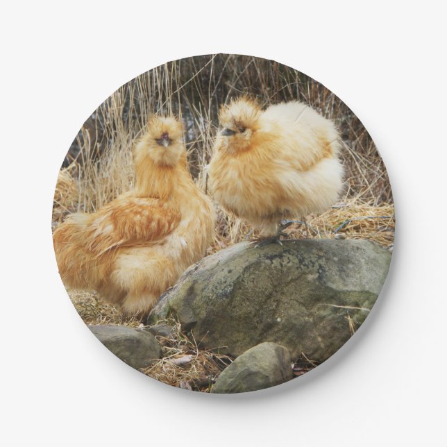 Assiettes En Carton Les poulets de Silkie (Devant)