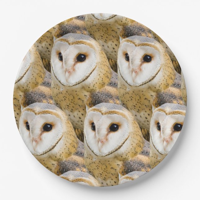 Assiettes En Carton Les visages de Barn Owl (Devant)