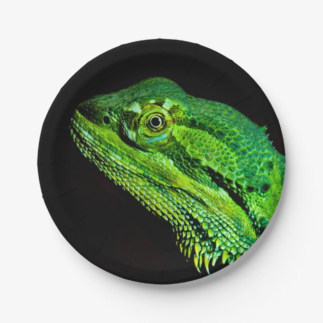 Assiettes En Carton Lézard de Dragon (Devant)