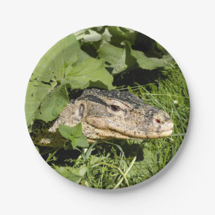 Assiettes En Carton Lézard de moniteur de l'eau