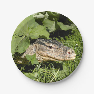 Assiettes En Carton Lézard de moniteur de l'eau