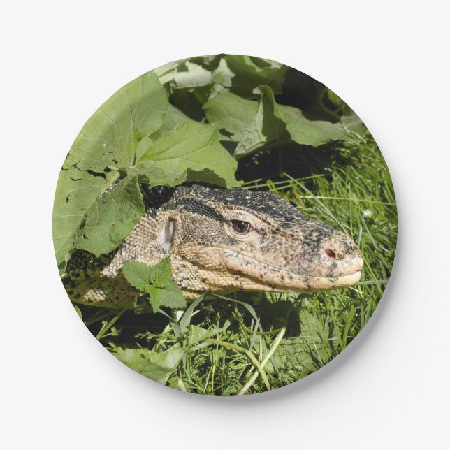 Assiettes En Carton Lézard de moniteur de l'eau (Devant)