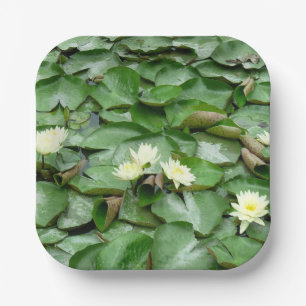 Assiettes En Carton Lillies d'eau