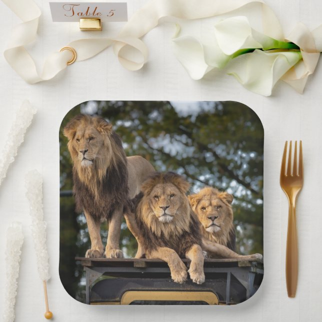 Assiettes En Carton Lion (Mariage)