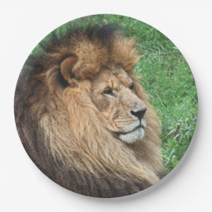 Assiettes En Carton Lion 001