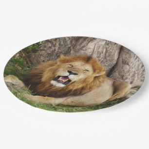 Assiettes En Carton Lion au Massai Mara 1