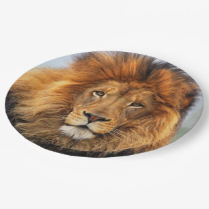 Assiettes En Carton Lion d'Afrique 1