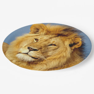 Assiettes En Carton Lion d'Afrique 2