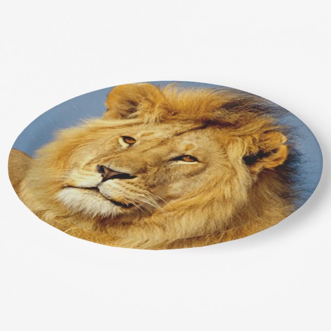 Assiettes En Carton Lion d'Afrique 2 (Angle)