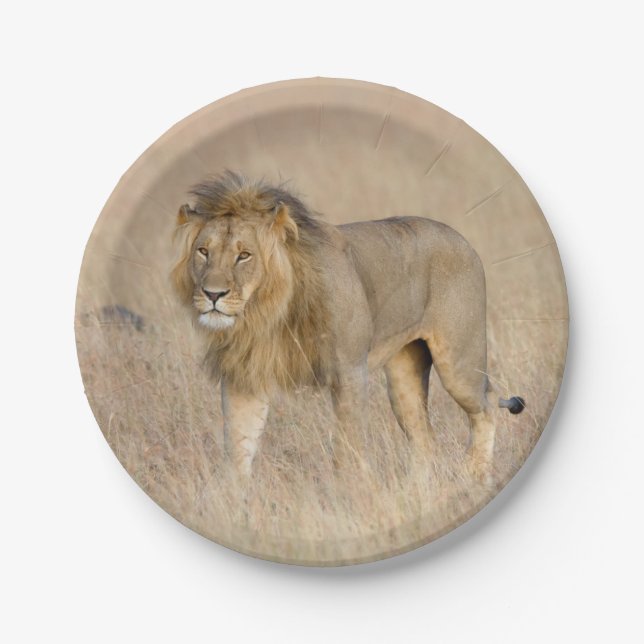 Assiettes En Carton Lion marche (Devant)