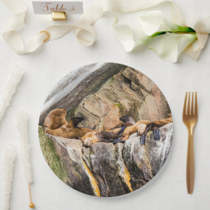 Assiettes En Carton Lions De Mer Posés Sur Les Rochers