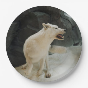 Assiettes En Carton Loup blanc