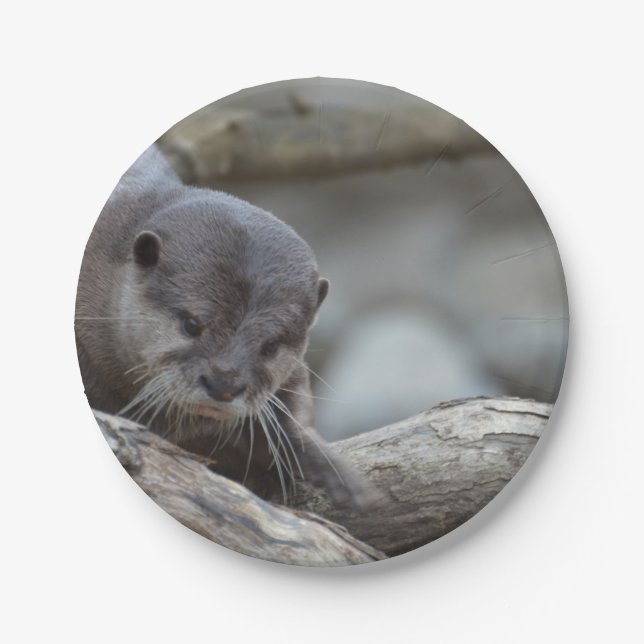 Assiettes En Carton Loutre adorable (Devant)