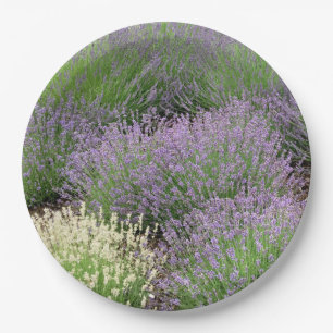 Assiettes En Carton Lovely Lavender