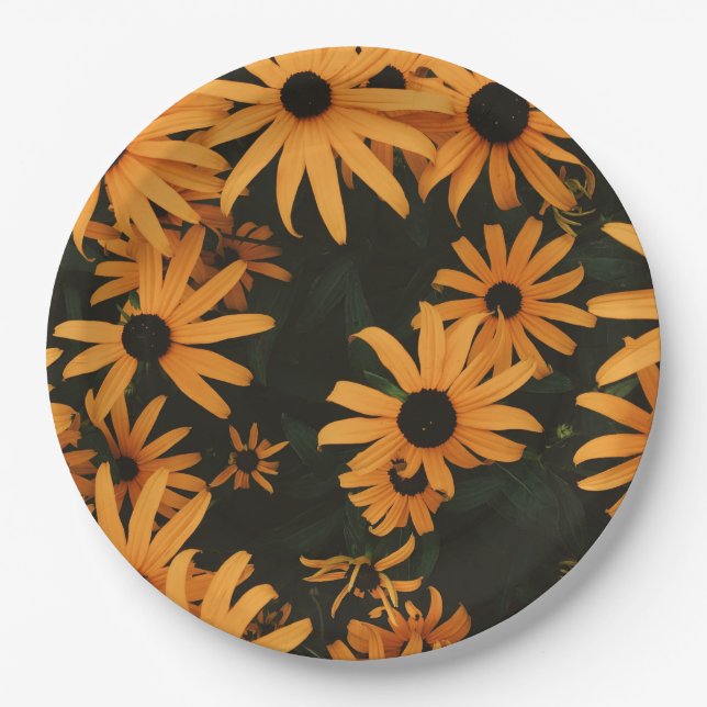 Assiettes En Carton lunettes noires (Devant)