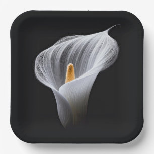 Assiettes En Carton Lys Calla Blanc Sur Noir