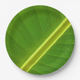 Assiettes En Carton Macro feuille banane
