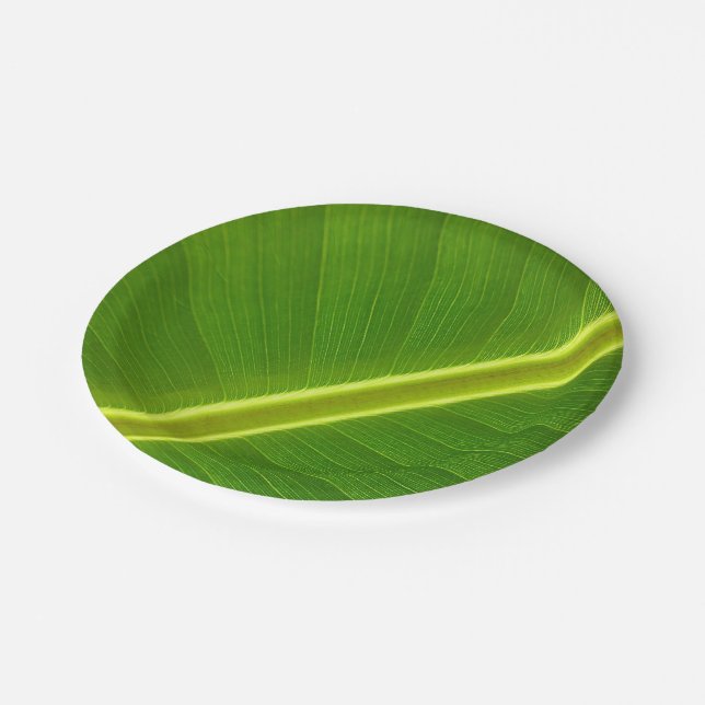 Assiettes En Carton Macro feuille banane (Angle)