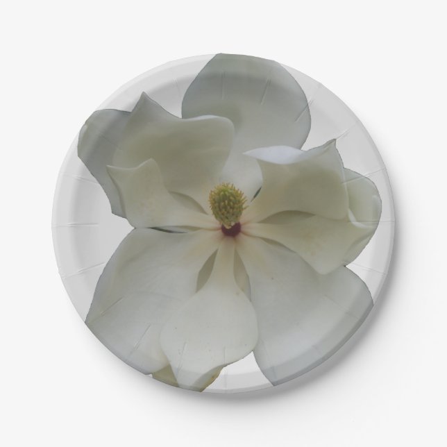 Assiettes En Carton Magnolia blanche de la plaque à papier (Devant)