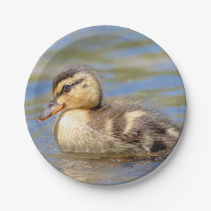 Assiettes En Carton Mallard Duckling