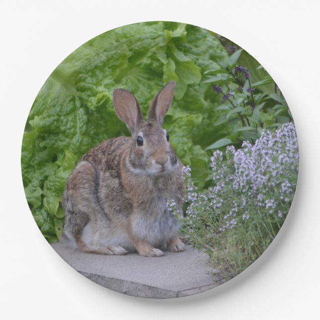 Assiettes En Carton Mama Bunny (Devant)