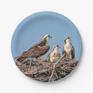 Assiettes En Carton Maman balbuzard avec ses enfants
