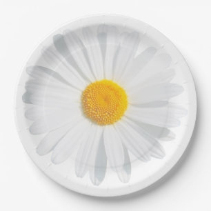 Assiettes En Carton marais blanc