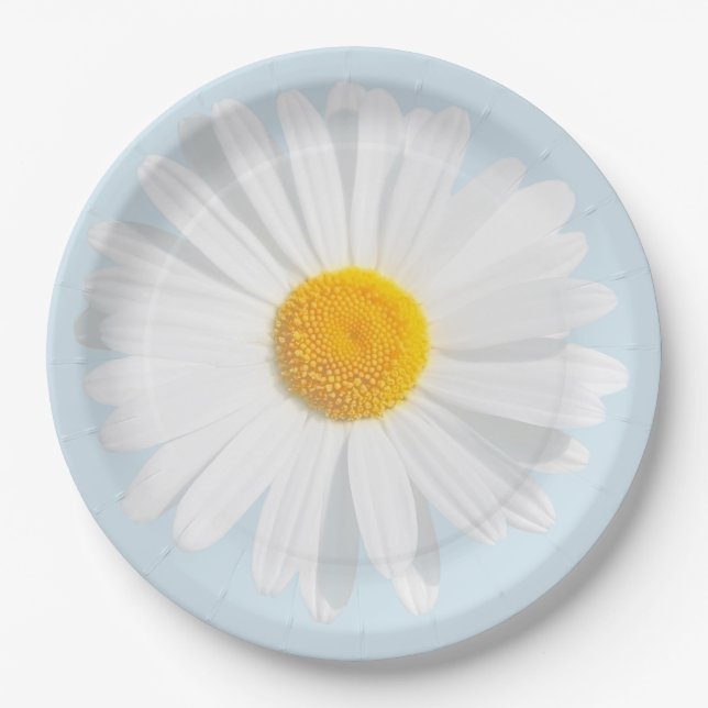 Assiettes En Carton marguerite blanche (Devant)