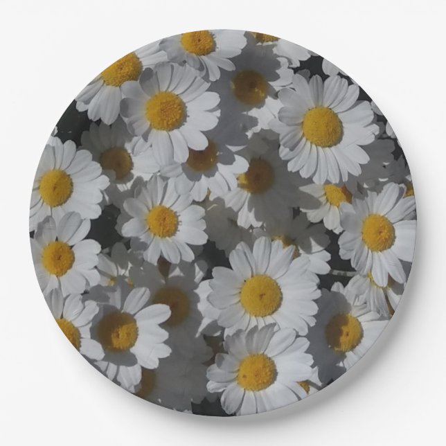 Assiettes En Carton Marguerite blanche (Devant)