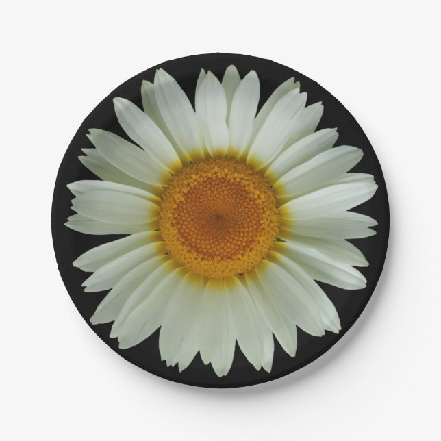 Assiettes En Carton Marguerite blanche moderne sur le noir (Devant)
