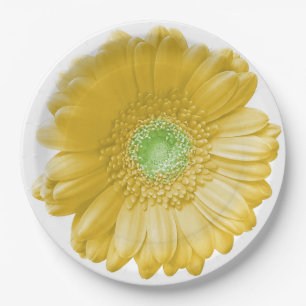 Assiettes En Carton Marguerite jaune