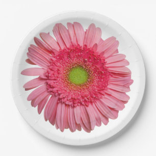 Assiettes En Carton Marguerite rose de Gerbera