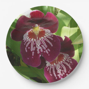 Assiettes En Carton Maroon Orchids II