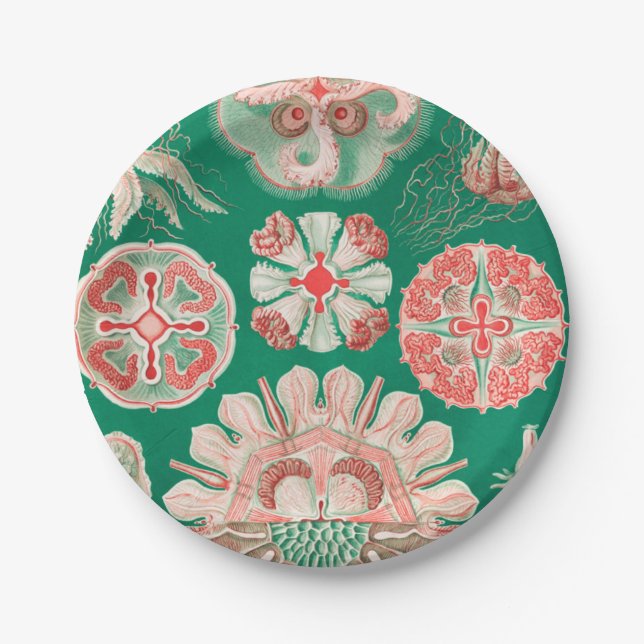 Assiettes En Carton Méduse, Discomedusae par Ernst Haeckel (Devant)