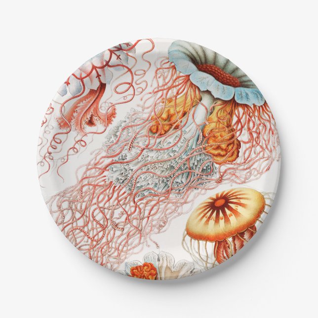 Assiettes En Carton Méduse, Discomedusae par Ernst Haeckel (Devant)