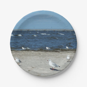 Assiettes En Carton mer, eau, mouette, oiseau, voyage, bleu, ciel,