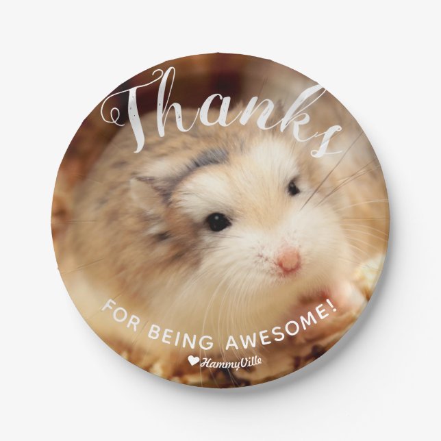 Assiettes En Carton Merci à Hamster pour être génial (Devant)