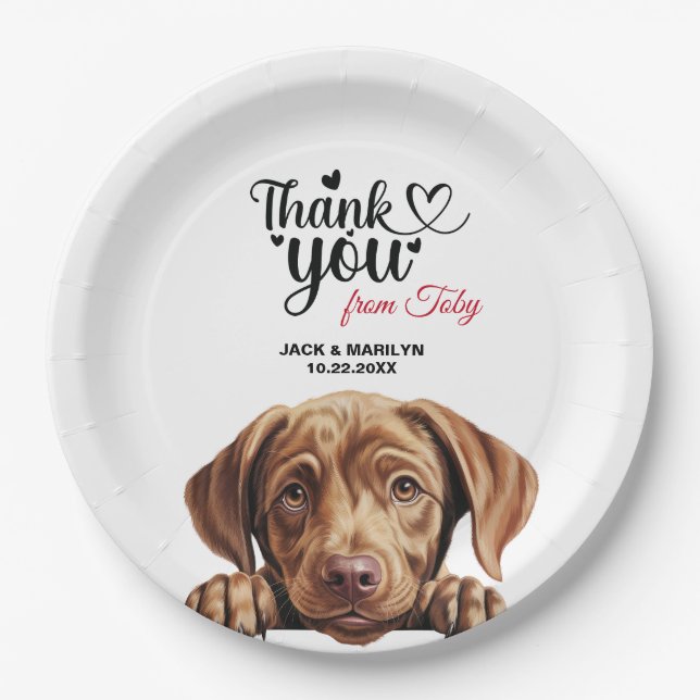 Assiettes En Carton Merci Mariage Labrador Retriever (Devant)