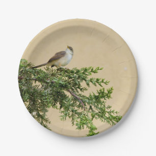 Assiettes En Carton Moineau